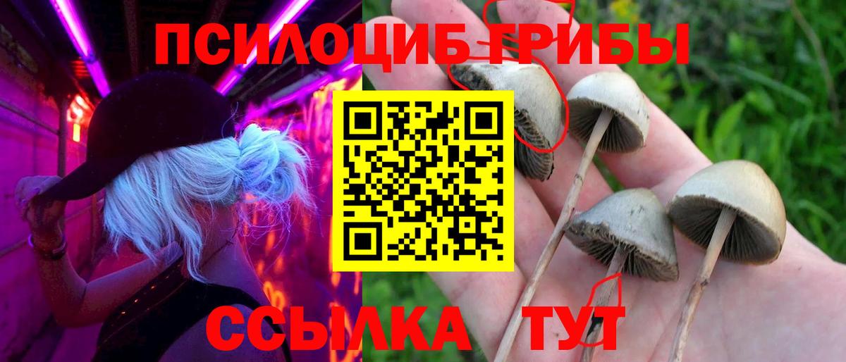 Галлюциногенные грибы мицелий  Вход с VPN  Южно-Сахалинск 